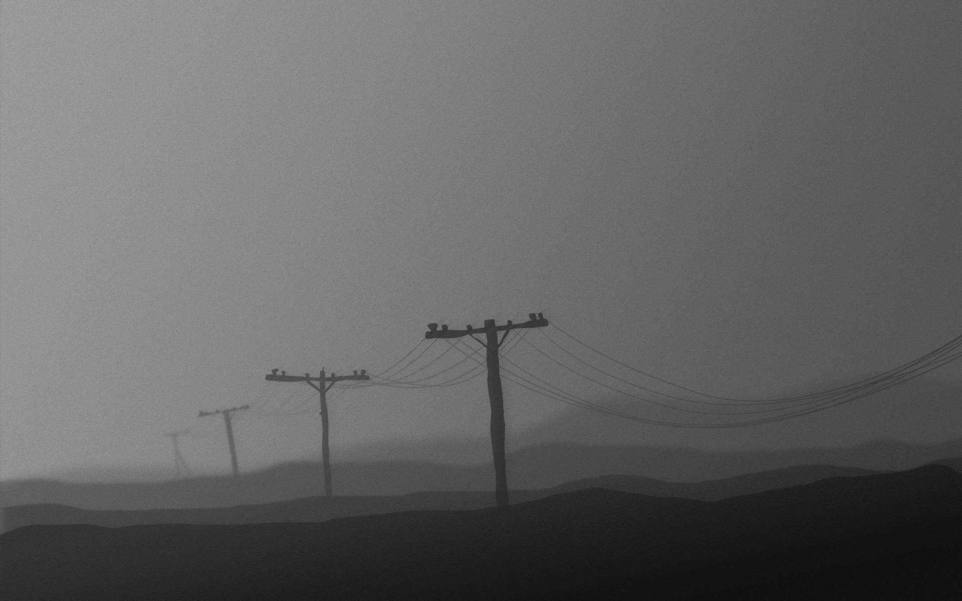 Обои провода, столбы, черно-белая, серый, wire, posts, black and white, grey разрешение 2560x1600 Загрузить