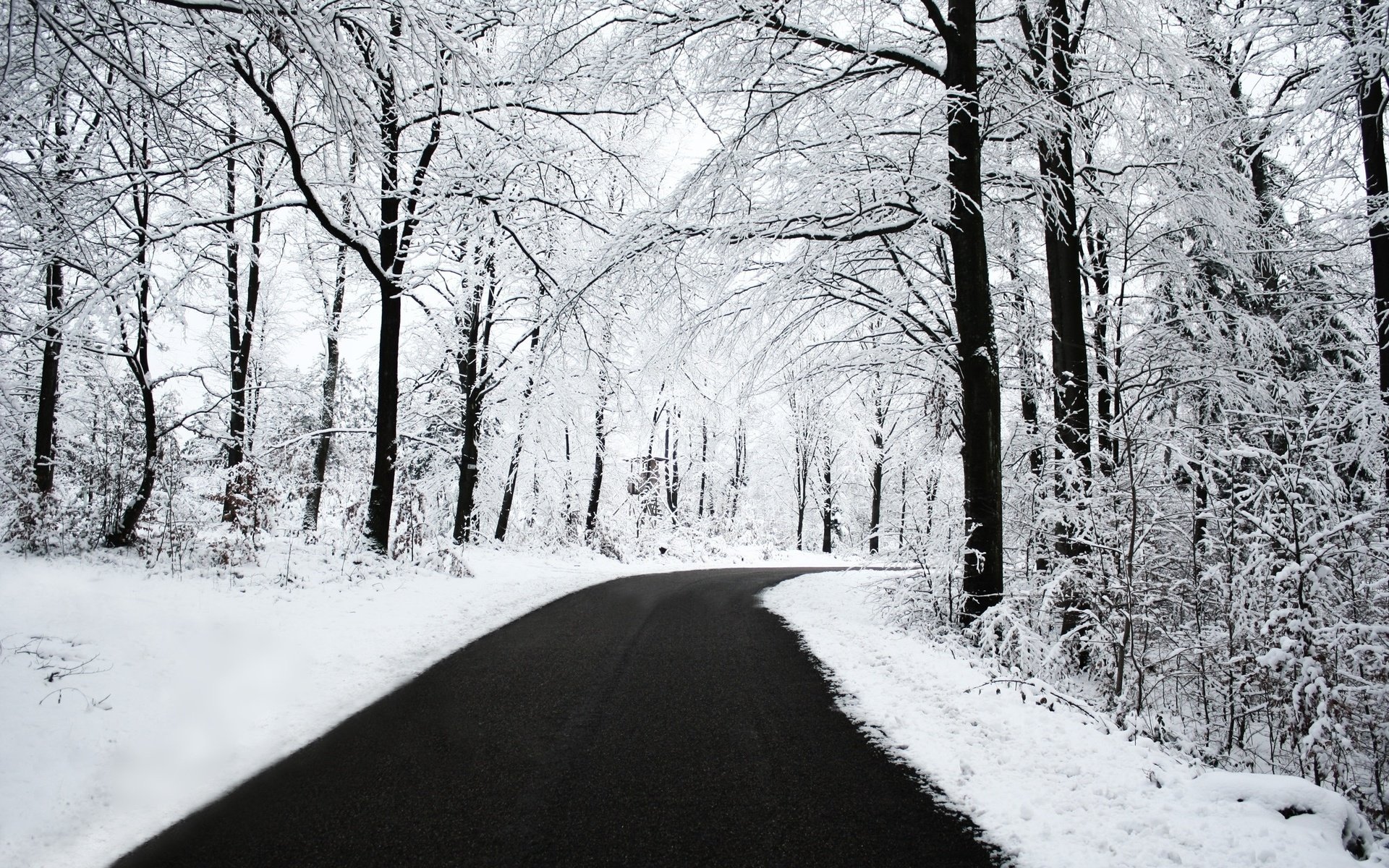 Обои дорога, снег, лес, зима, road, snow, forest, winter разрешение 2560x1600 Загрузить