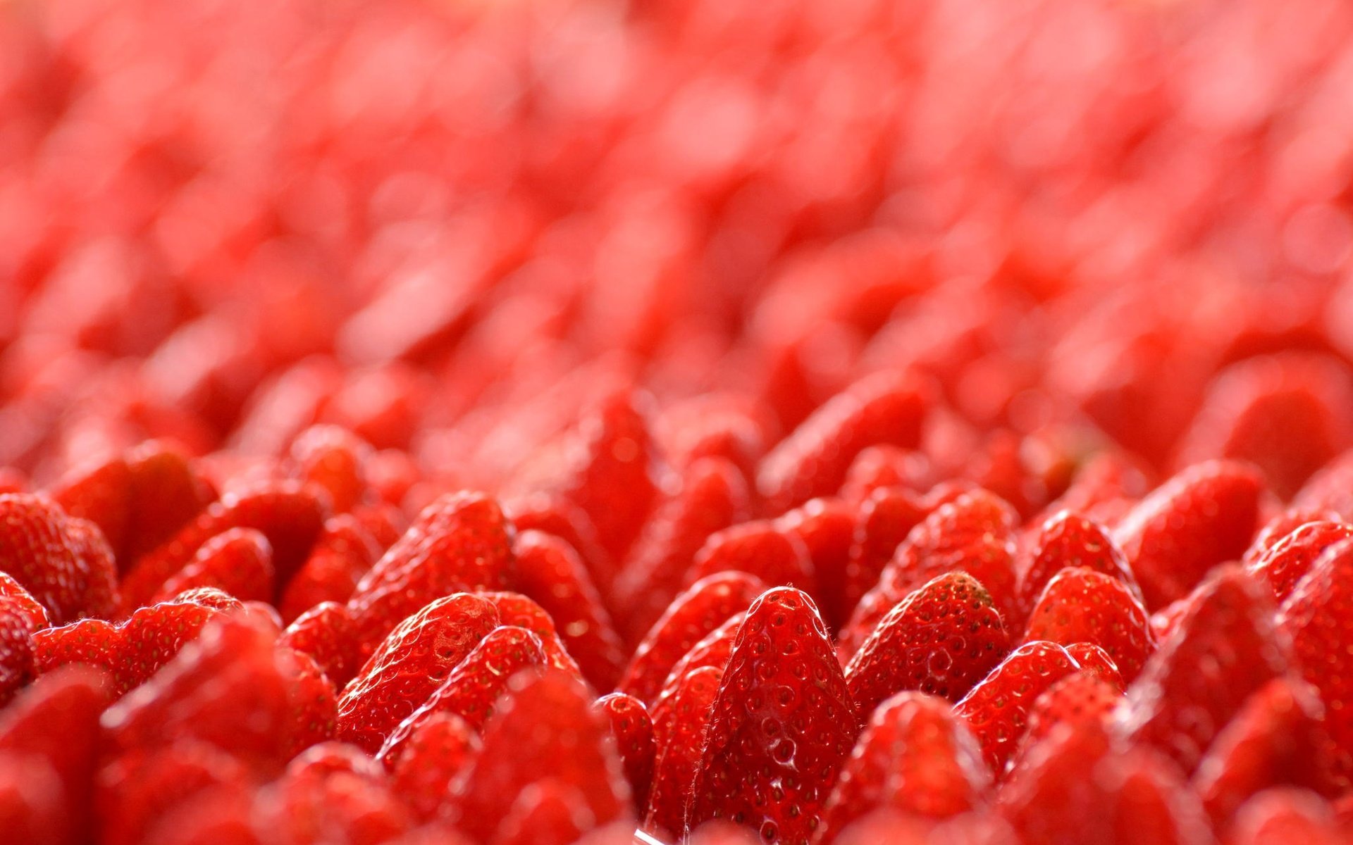 Обои макро, клубника, ягоды, лесные ягоды, земляника, macro, strawberry, berries, strawberries разрешение 2048x1365 Загрузить