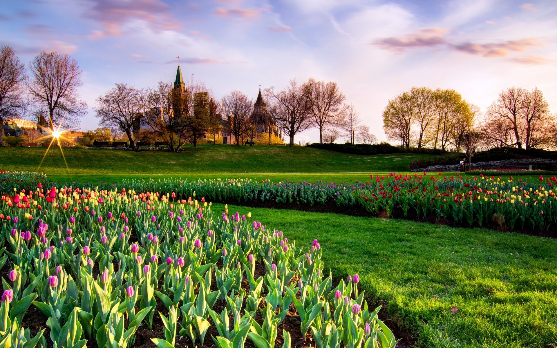 Обои парк, весна, тюльпаны, канада, неба, тульпаны, park, spring, tulips, canada, sky разрешение 2880x1635 Загрузить