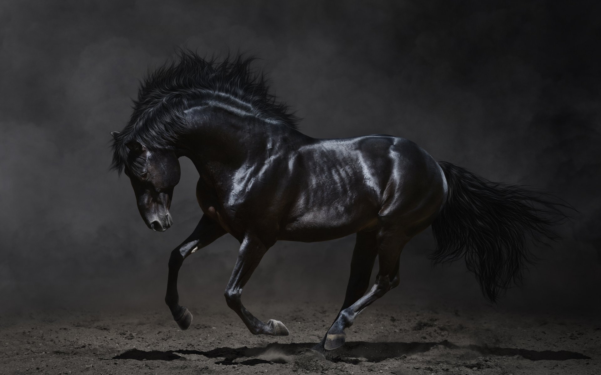 Обои лошадь, темный фон, конь, грива, бег, копыта, жеребец, мустанг, вороной, crow, horse, the dark background, mane, running, hooves, stallion, mustang разрешение 5944x3914 Загрузить