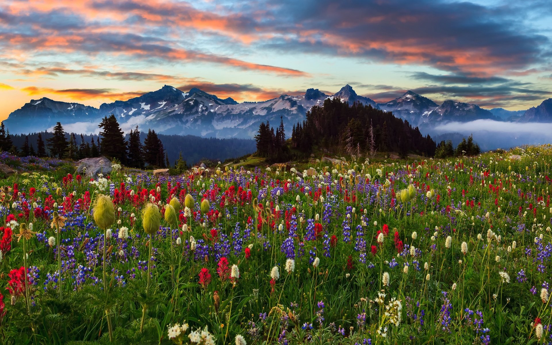 Обои небо, цветы, облака, деревья, горы, природа, закат, пейзаж, the sky, flowers, clouds, trees, mountains, nature, sunset, landscape разрешение 4501x2885 Загрузить