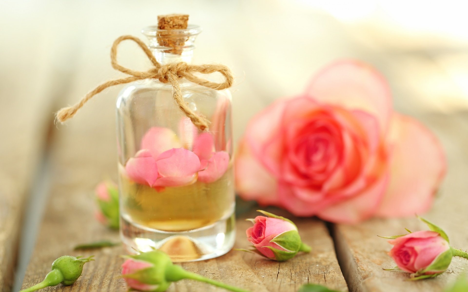 Обои цветы, бутоны, розы, лепестки, масло, духи, флакон, flowers, buds, roses, petals, oil, perfume, bottle разрешение 2880x1800 Загрузить