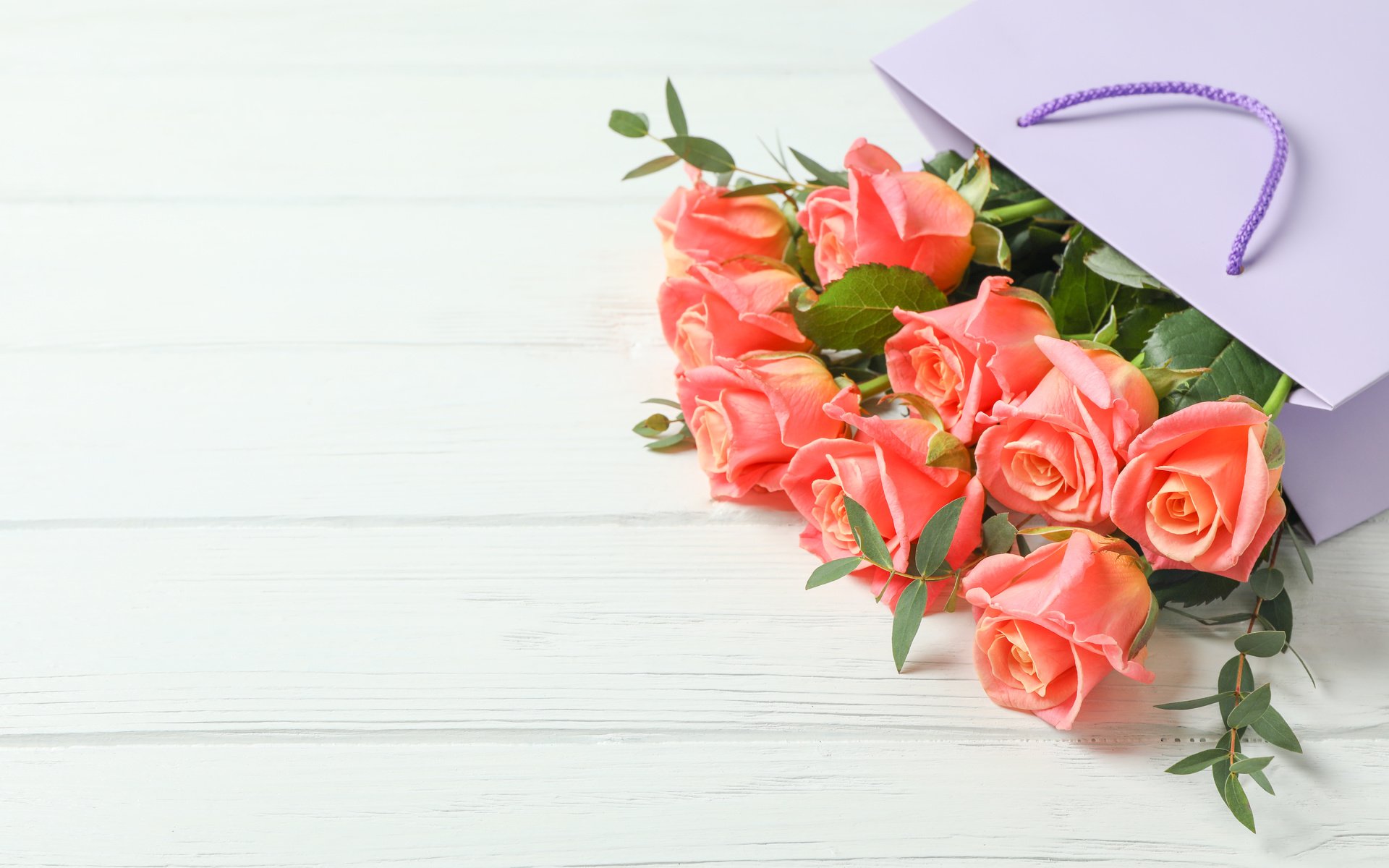 Обои цветы, бутоны, розы, лепестки, букет, пакет, flowers, buds, roses, petals, bouquet, package разрешение 6720x4480 Загрузить