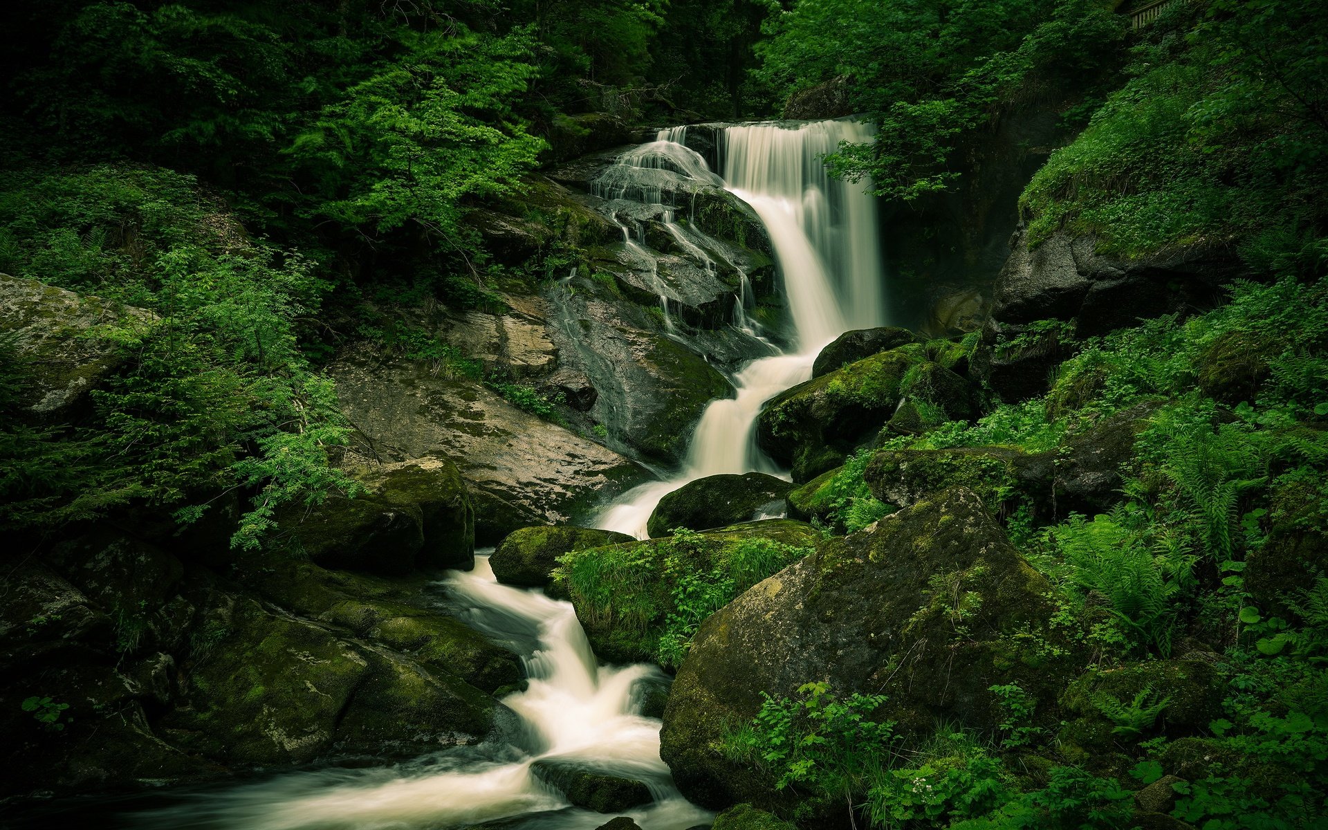 Обои камни, лес, водопад, валуны, stones, forest, waterfall, boulders разрешение 3840x2160 Загрузить