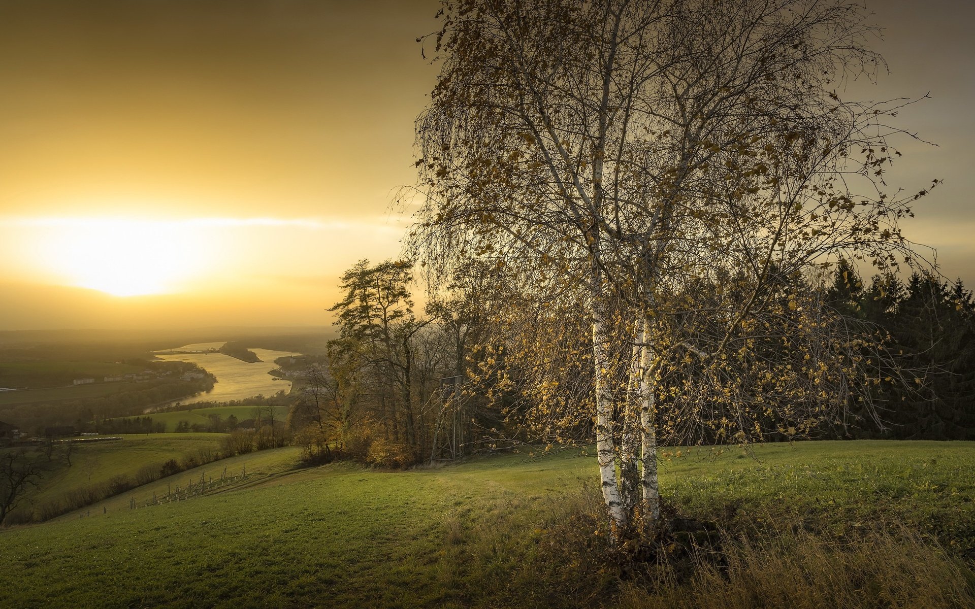 Обои природа, закат, береза, nature, sunset, birch разрешение 3050x1706 Загрузить