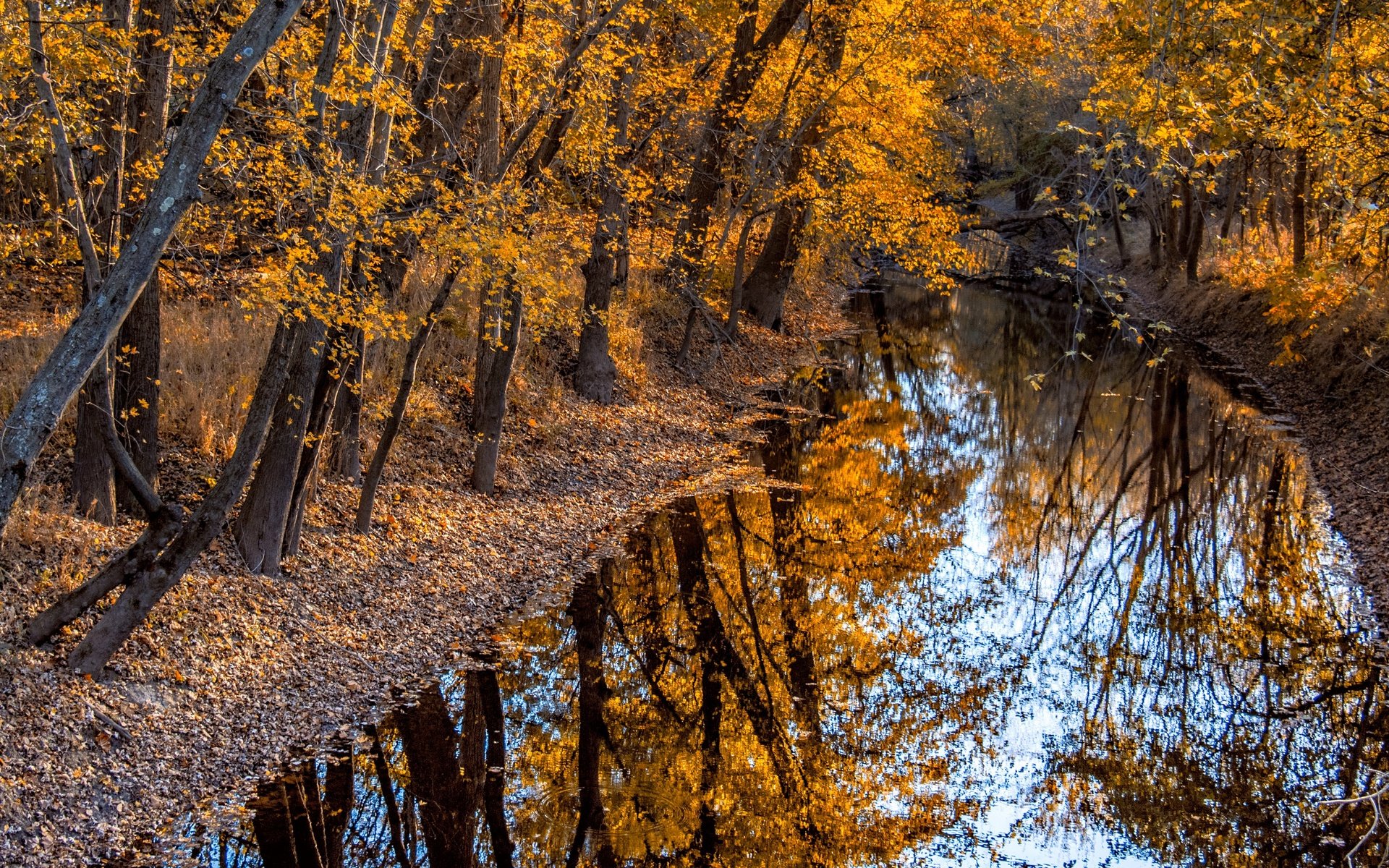 Обои деревья, река, природа, отражение, осень, trees, river, nature, reflection, autumn разрешение 3840x2160 Загрузить