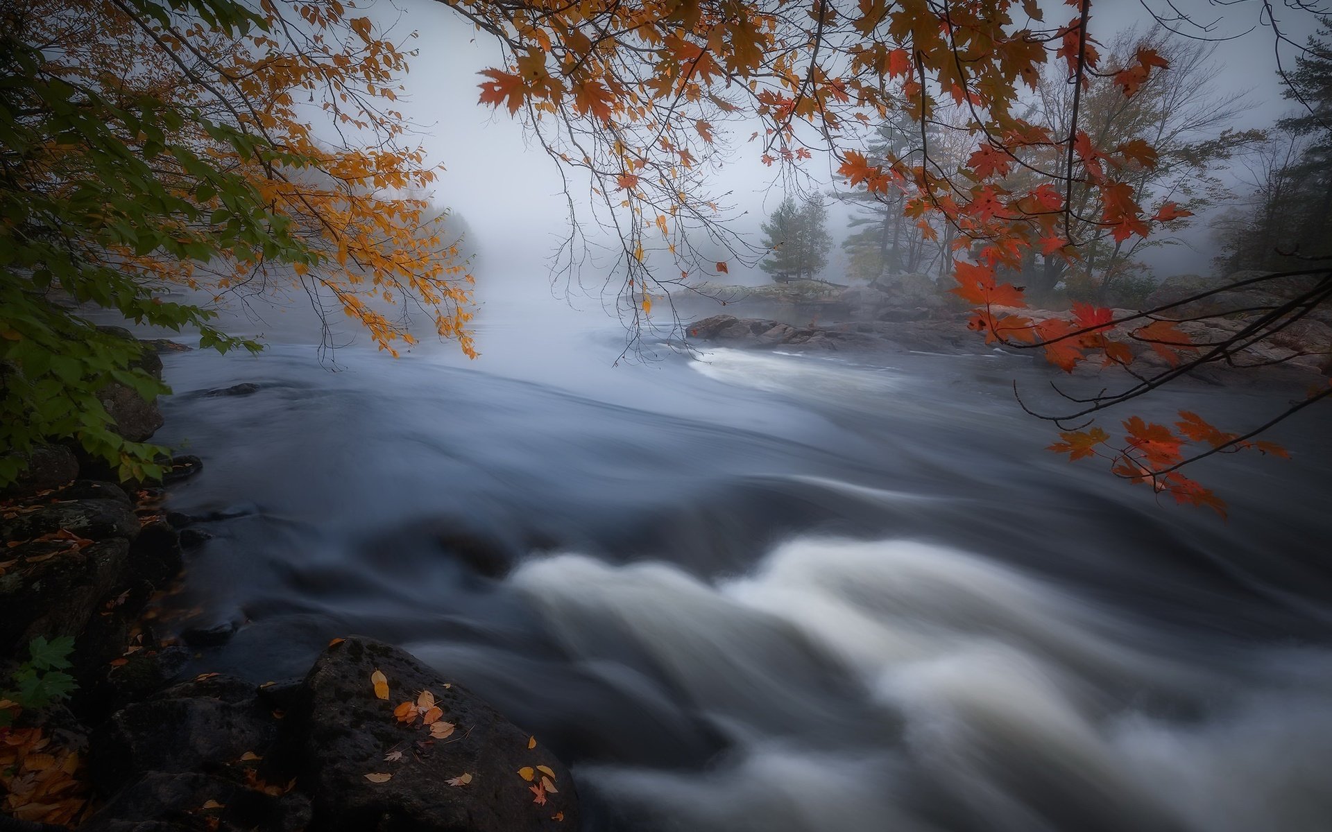 Обои река, туман, осень, канада, онтарио, river, fog, autumn, canada, ontario разрешение 2048x1365 Загрузить
