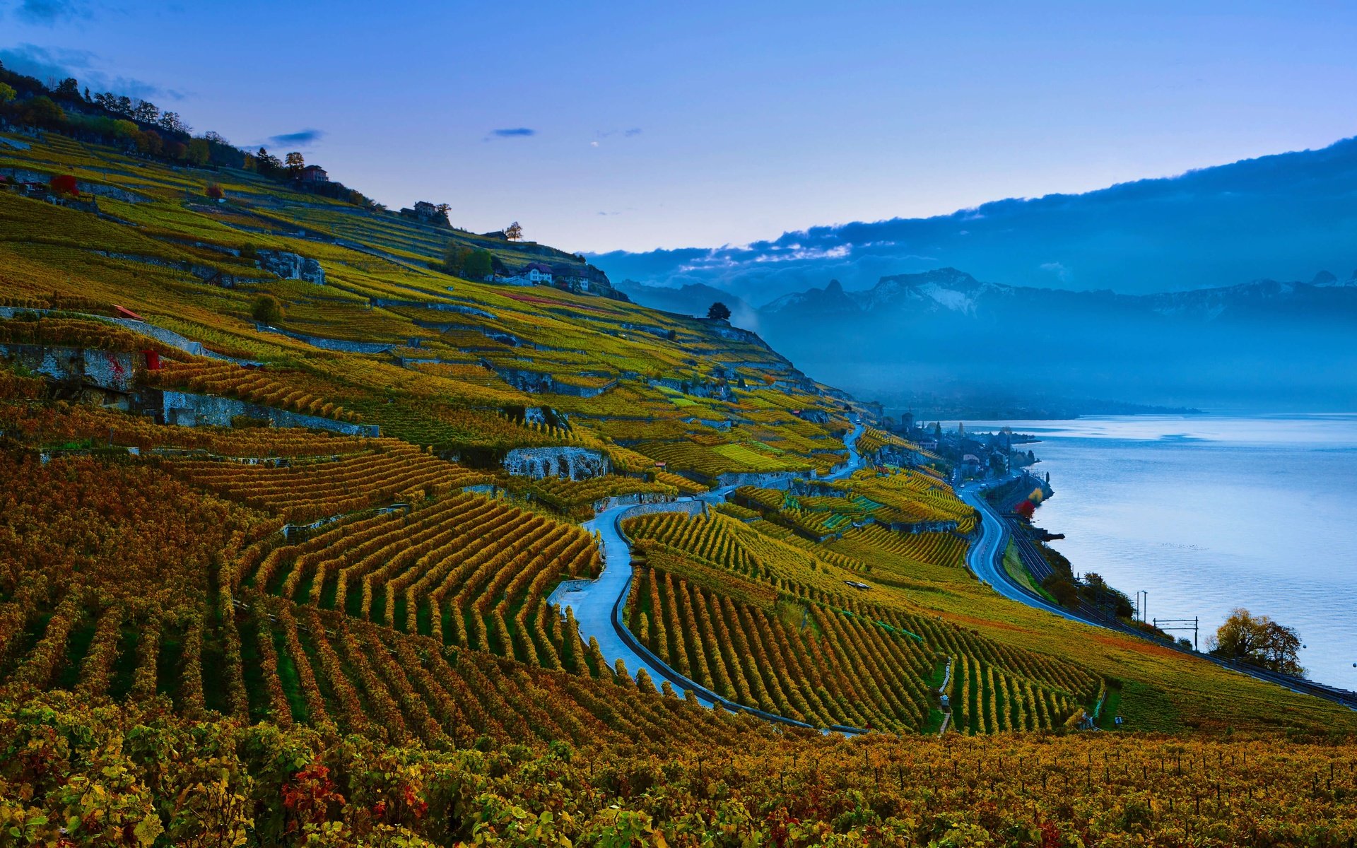 Обои склон, швейцария, виноградник, женевское озеро, slope, switzerland, vineyard, lake geneva разрешение 4974x2798 Загрузить