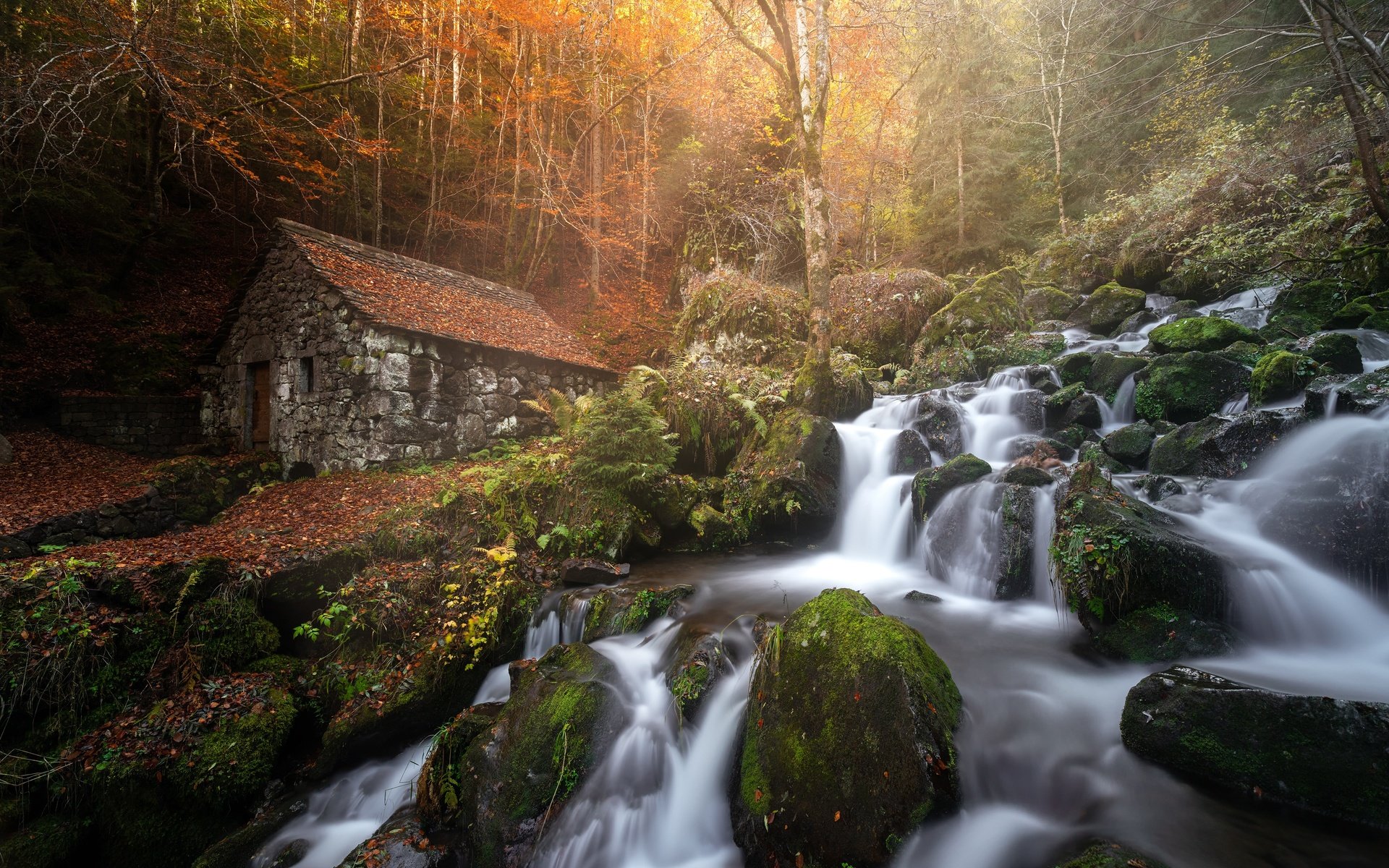 Обои река, лес, водопад, осень, дом, франция, водяная мельница, каскад, river, forest, waterfall, autumn, house, france, water mill, cascade разрешение 3840x2560 Загрузить