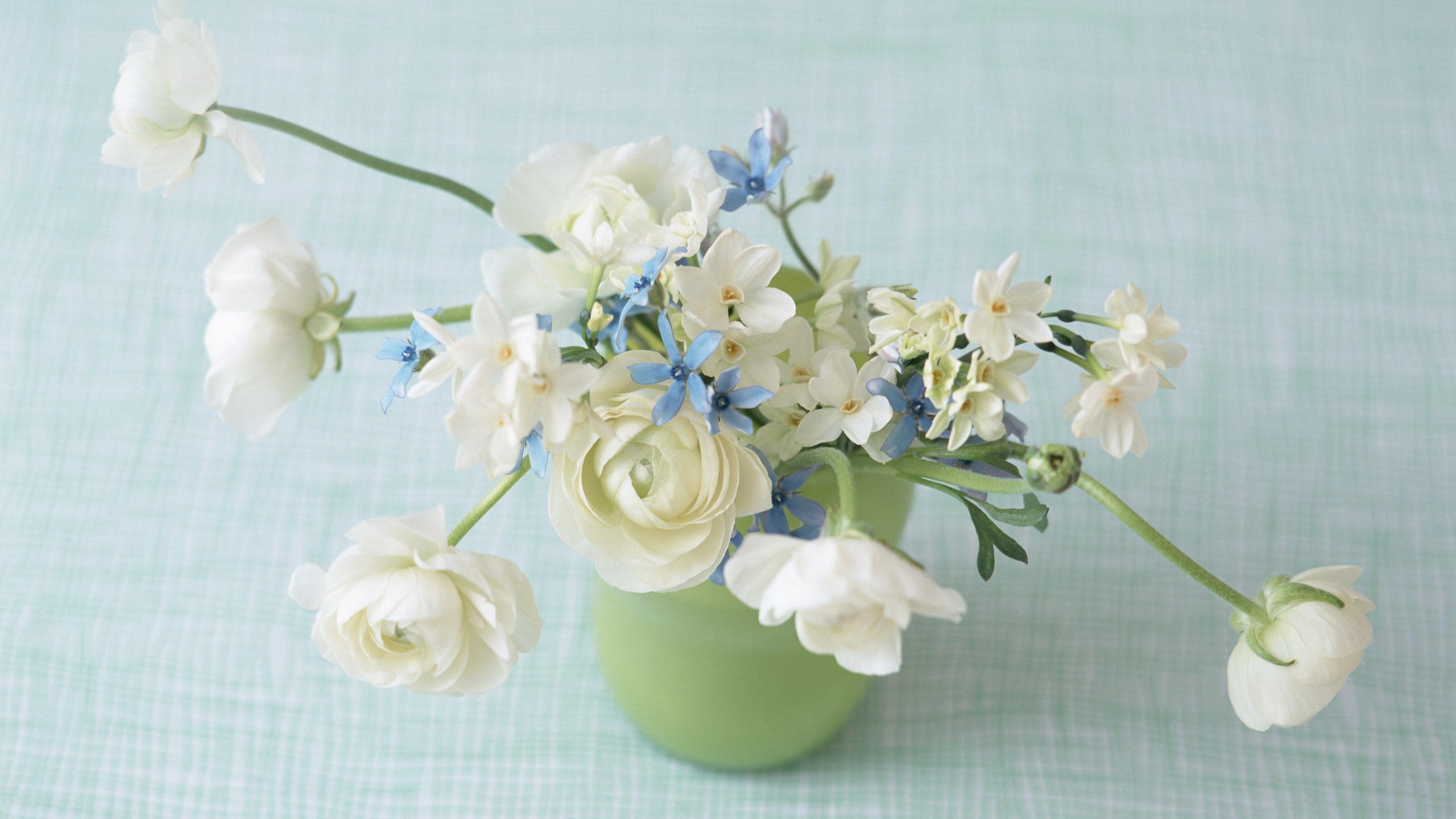 Обои cvety, cvety v vaze, nezhnaya kompoziciya разрешение 2950x2094 Загрузить