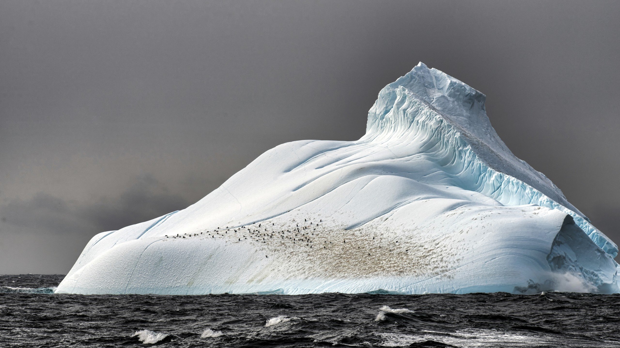 Обои море, лёд, айсберг, глыба, sea, ice, iceberg, lump разрешение 2560x1600 Загрузить