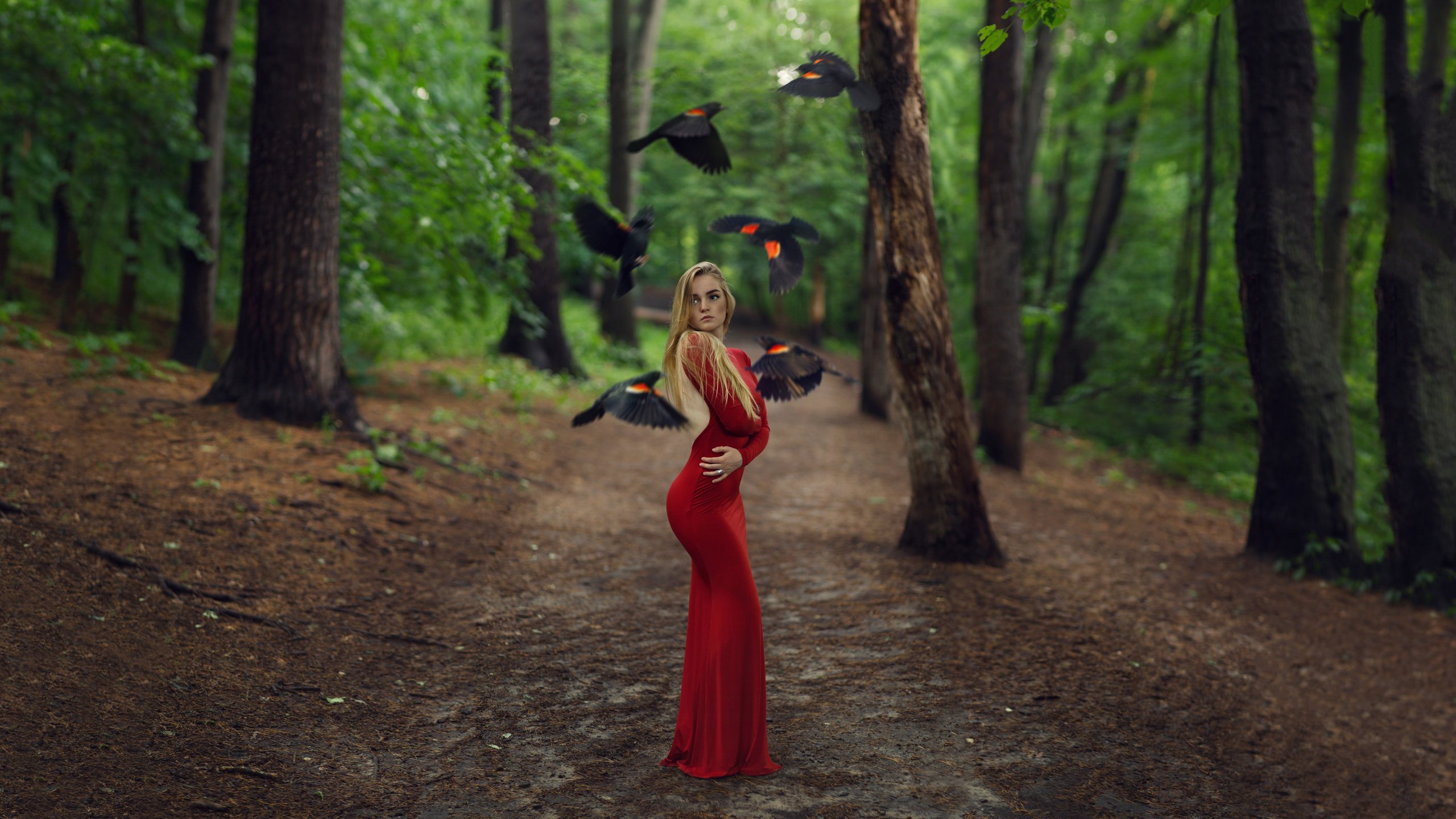 Обои деревья, лес, девушка, блондинка, птицы, креатив, красное платье, длинные волосы, trees, forest, girl, blonde, birds, creative, red dress, long hair разрешение 7680x4320 Загрузить