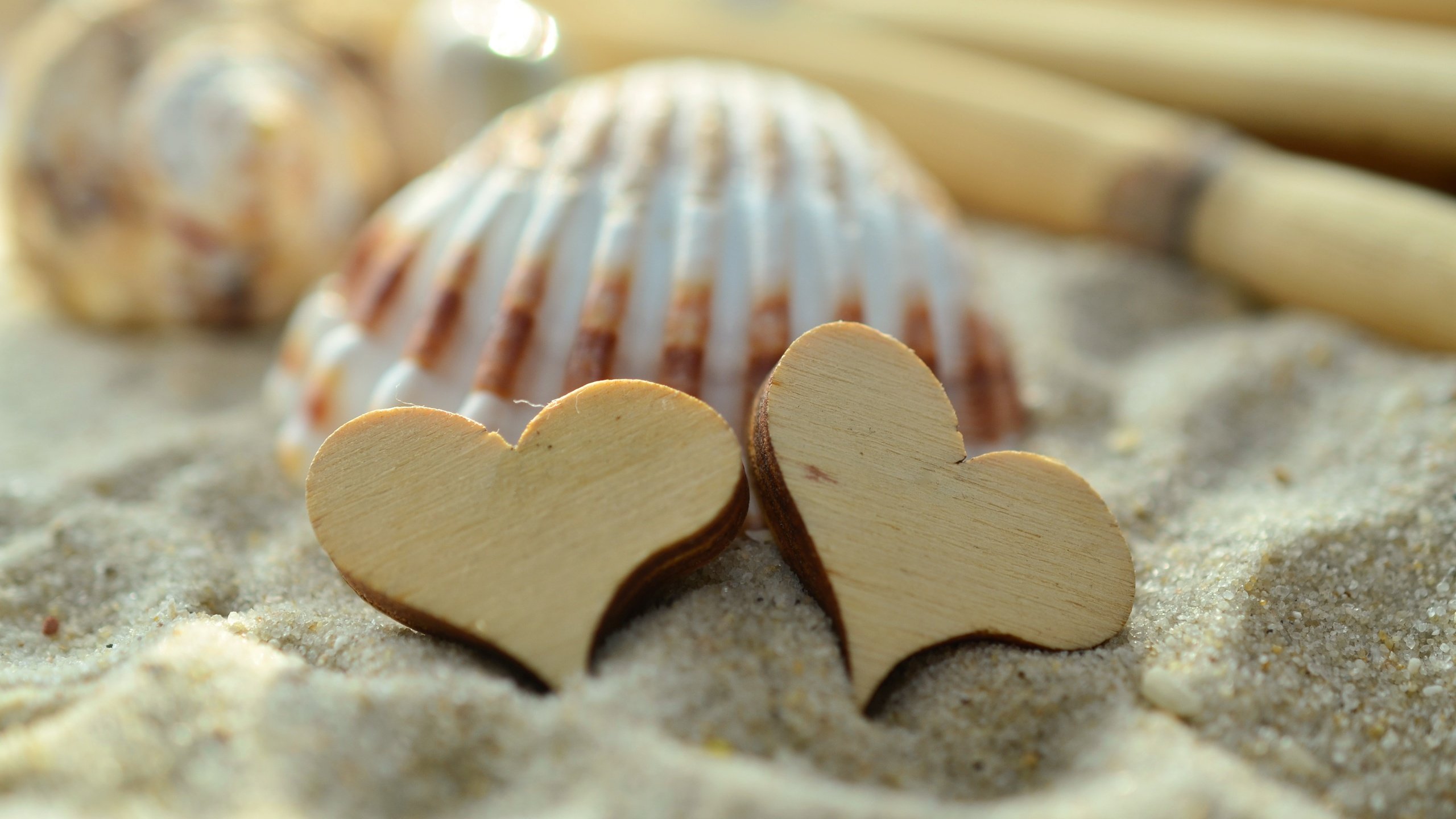 Обои песок, сердце, сердечки, ракушка, sand, heart, hearts, shell разрешение 4928x3264 Загрузить