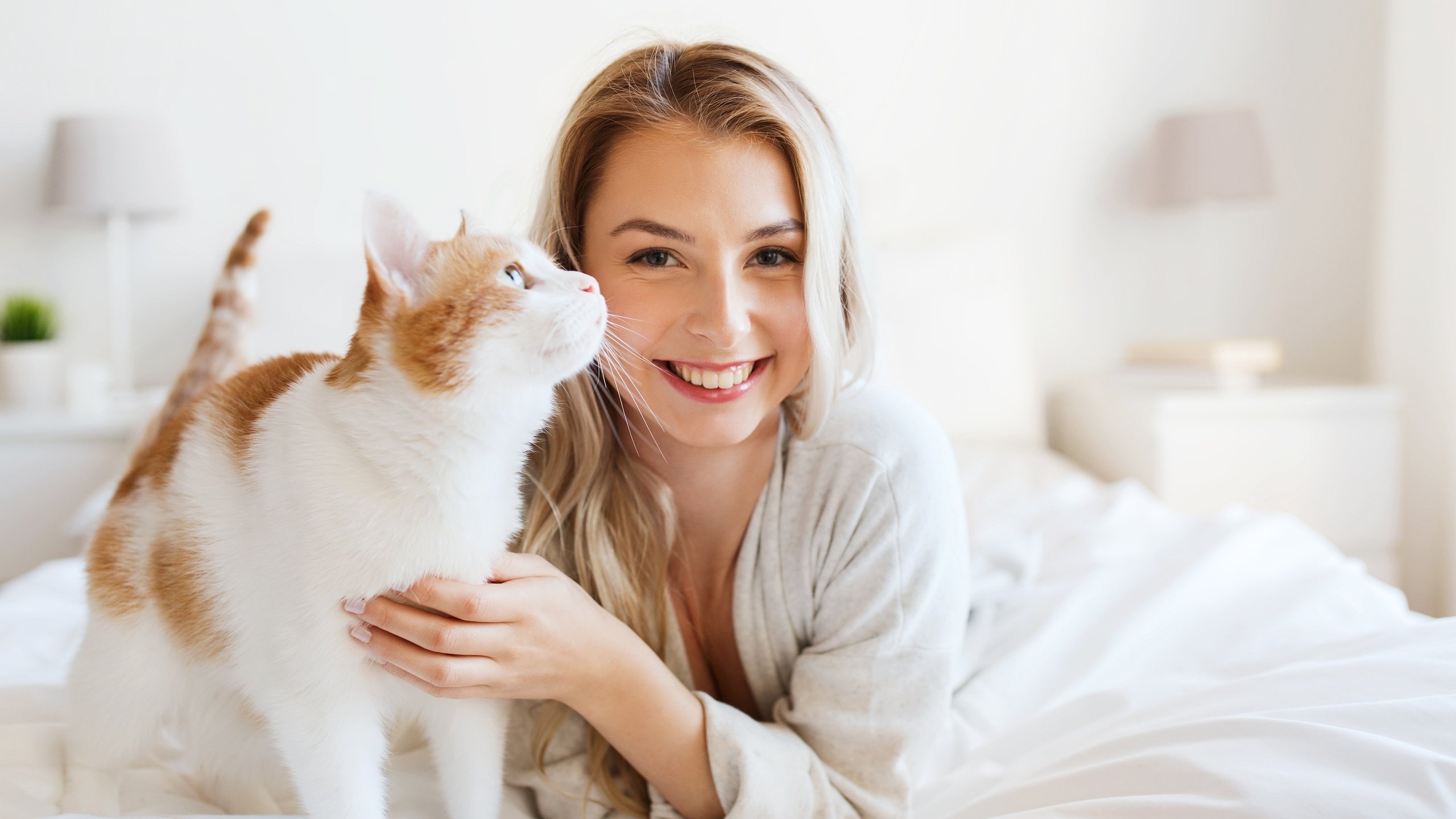 Обои девушка, блондинка, улыбка, кошка, кровать, халат, girl, blonde, smile, cat, bed, bathrobe разрешение 3900x2600 Загрузить