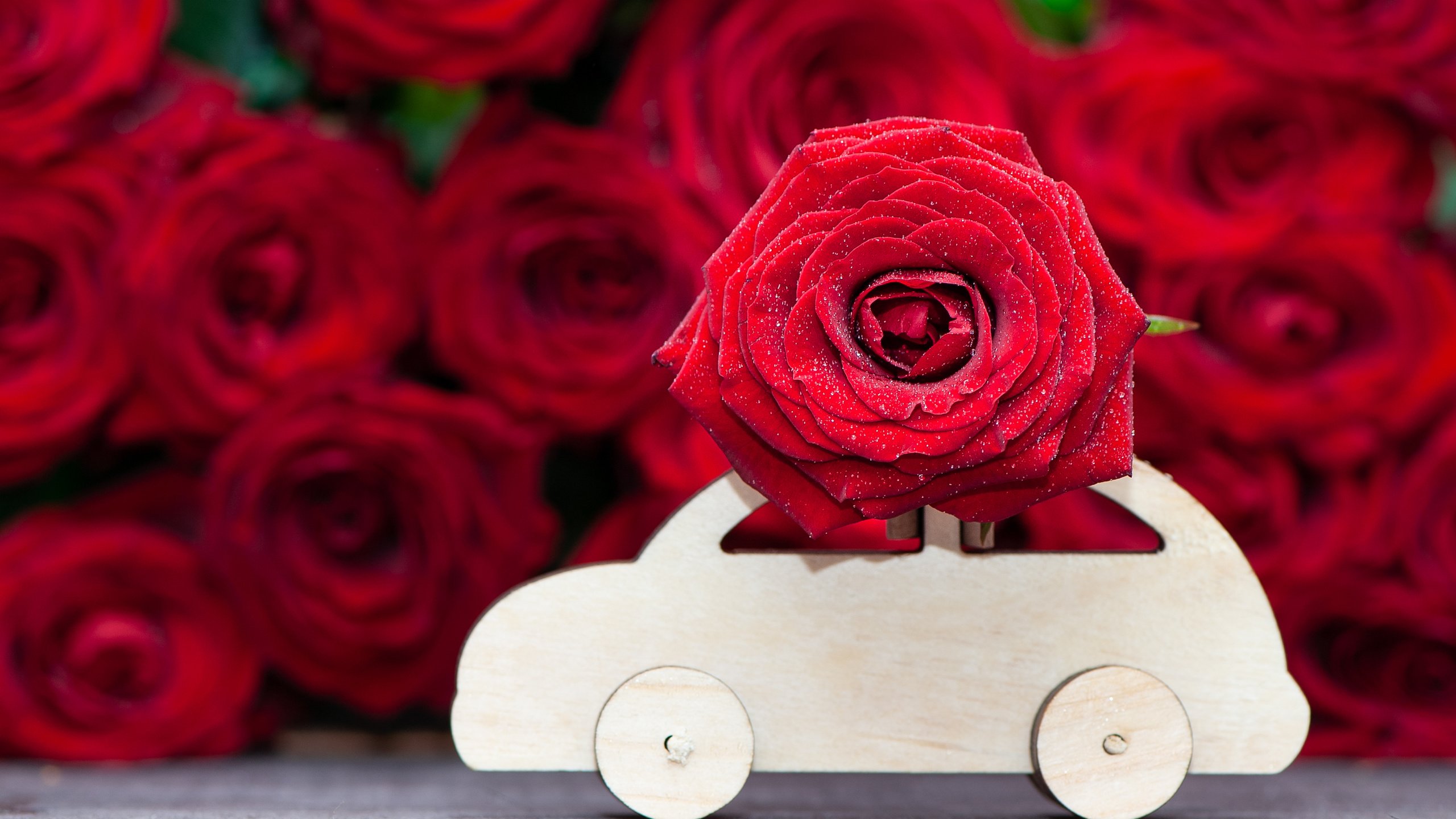 Обои машина, розы, красные, букет, деревянная, машинка, деревянная., machine, roses, red, bouquet, wooden разрешение 4256x2832 Загрузить