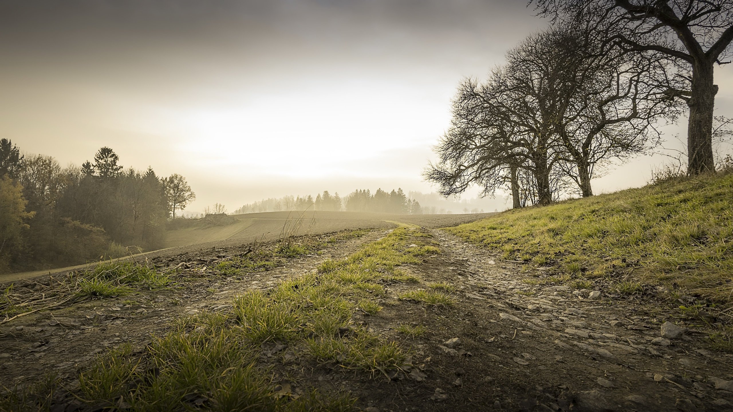 Обои утро, туман, осень, morning, fog, autumn разрешение 3052x1705 Загрузить