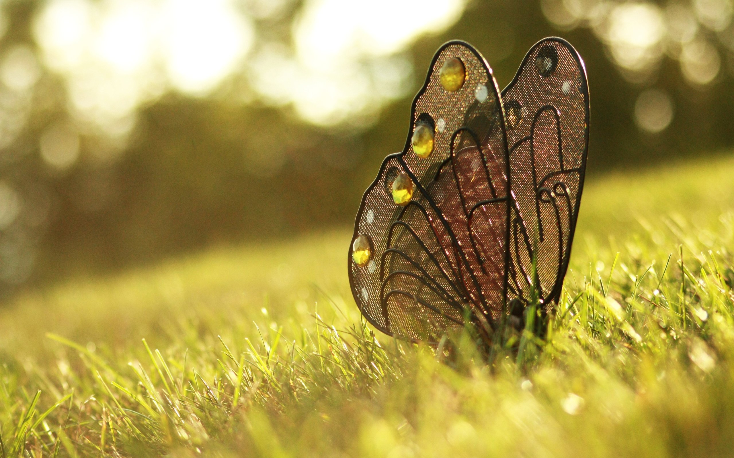 Обои трава, бабочка, украшение, grass, butterfly, decoration разрешение 4272x2848 Загрузить