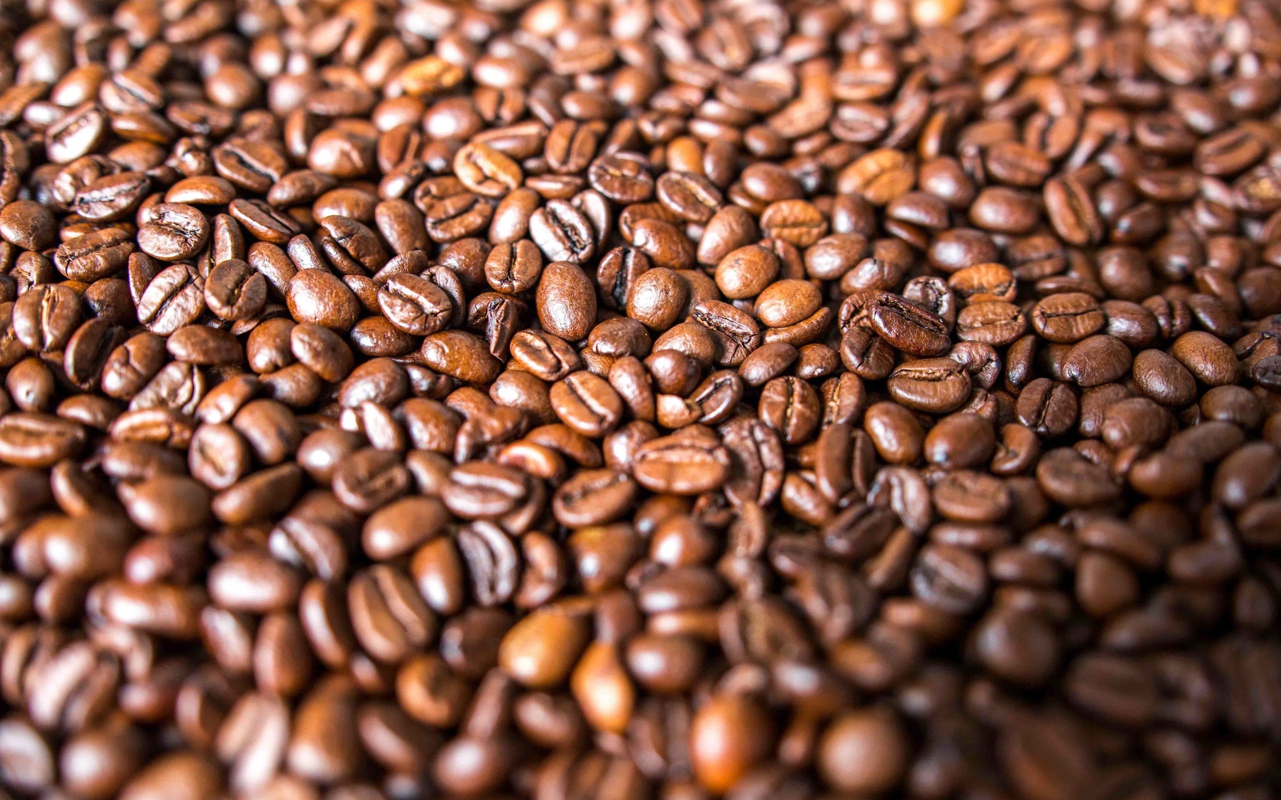 Обои зерна, кофе, много, кофейные зерна, grain, coffee, a lot, coffee beans разрешение 5472x3648 Загрузить