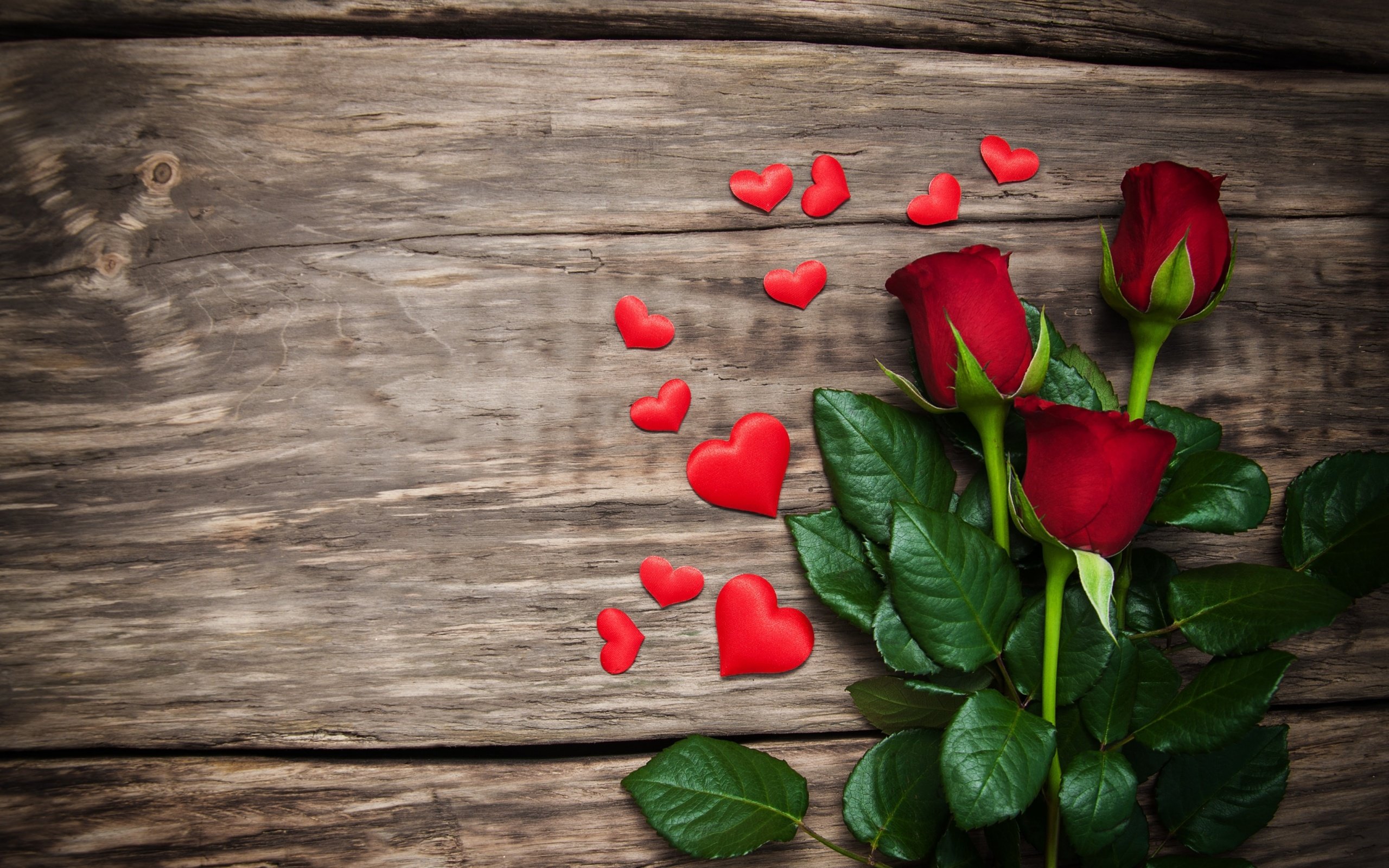 Обои цветы, святого, бутоны, красные розы, розы, лепестки, красные, любовь, сердечки, день святого валентина, flowers, holy, buds, red roses, roses, petals, red, love, hearts, valentine's day разрешение 2880x1800 Загрузить