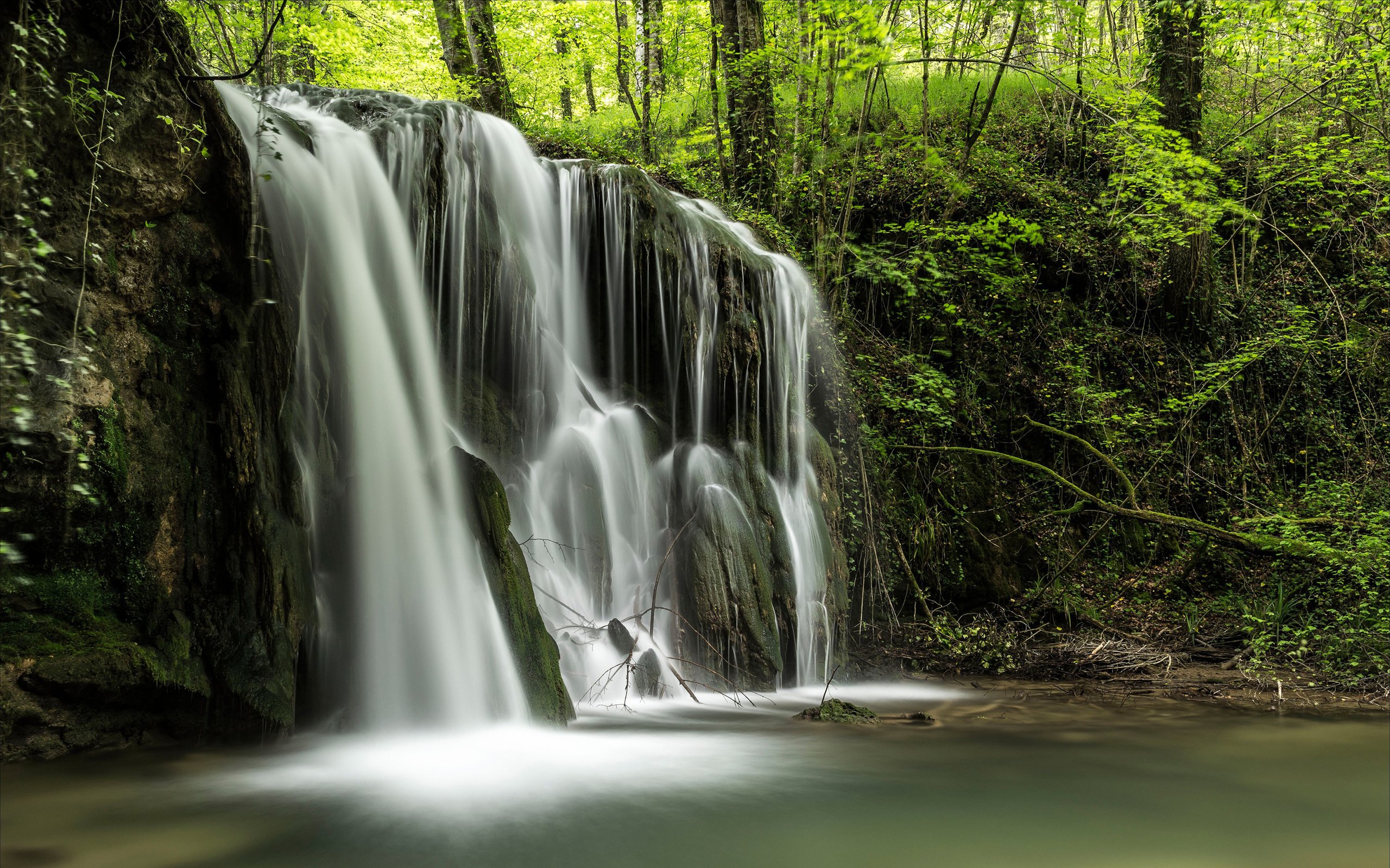 Обои деревья, река, природа, лес, пейзаж, водопад, поток, джунгли, trees, river, nature, forest, landscape, waterfall, stream, jungle разрешение 2880x1800 Загрузить