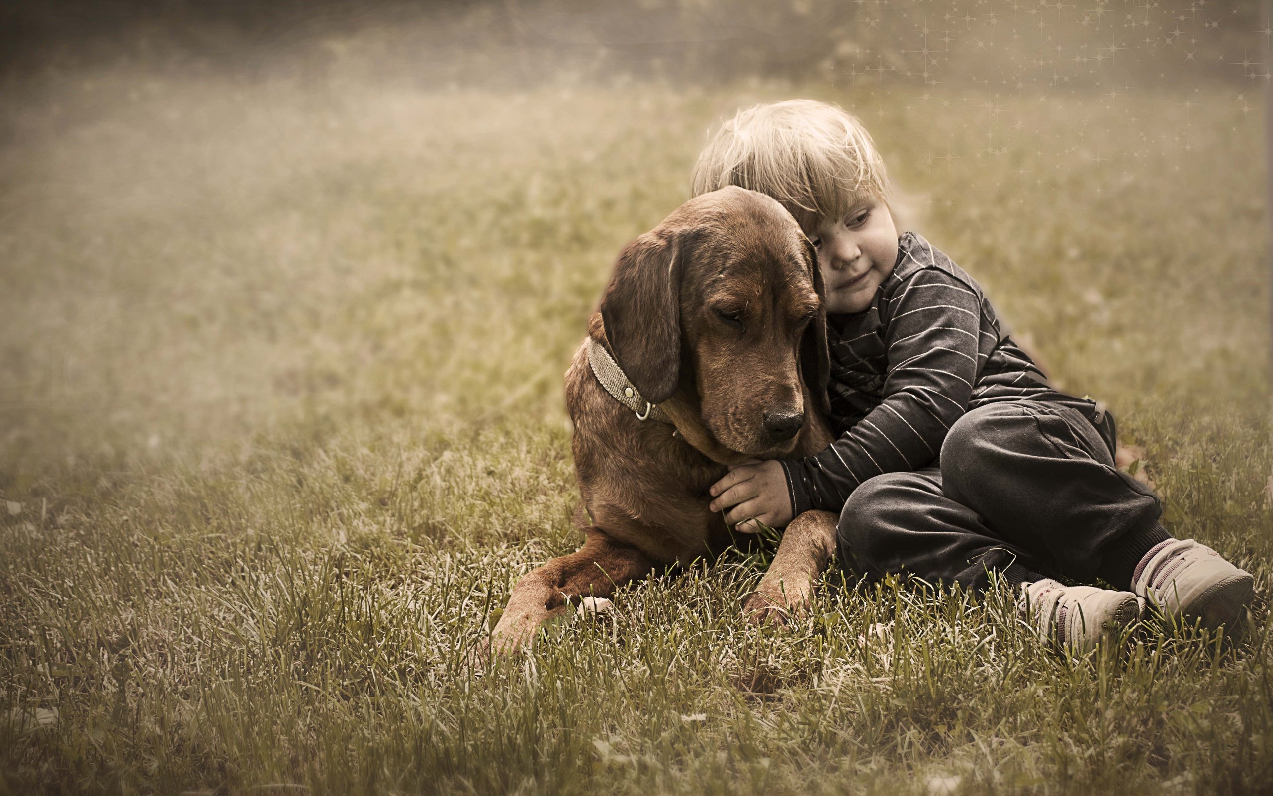 Обои трава, собака, дети, ребенок, мальчик, друзья, grass, dog, children, child, boy, friends разрешение 5412x3840 Загрузить