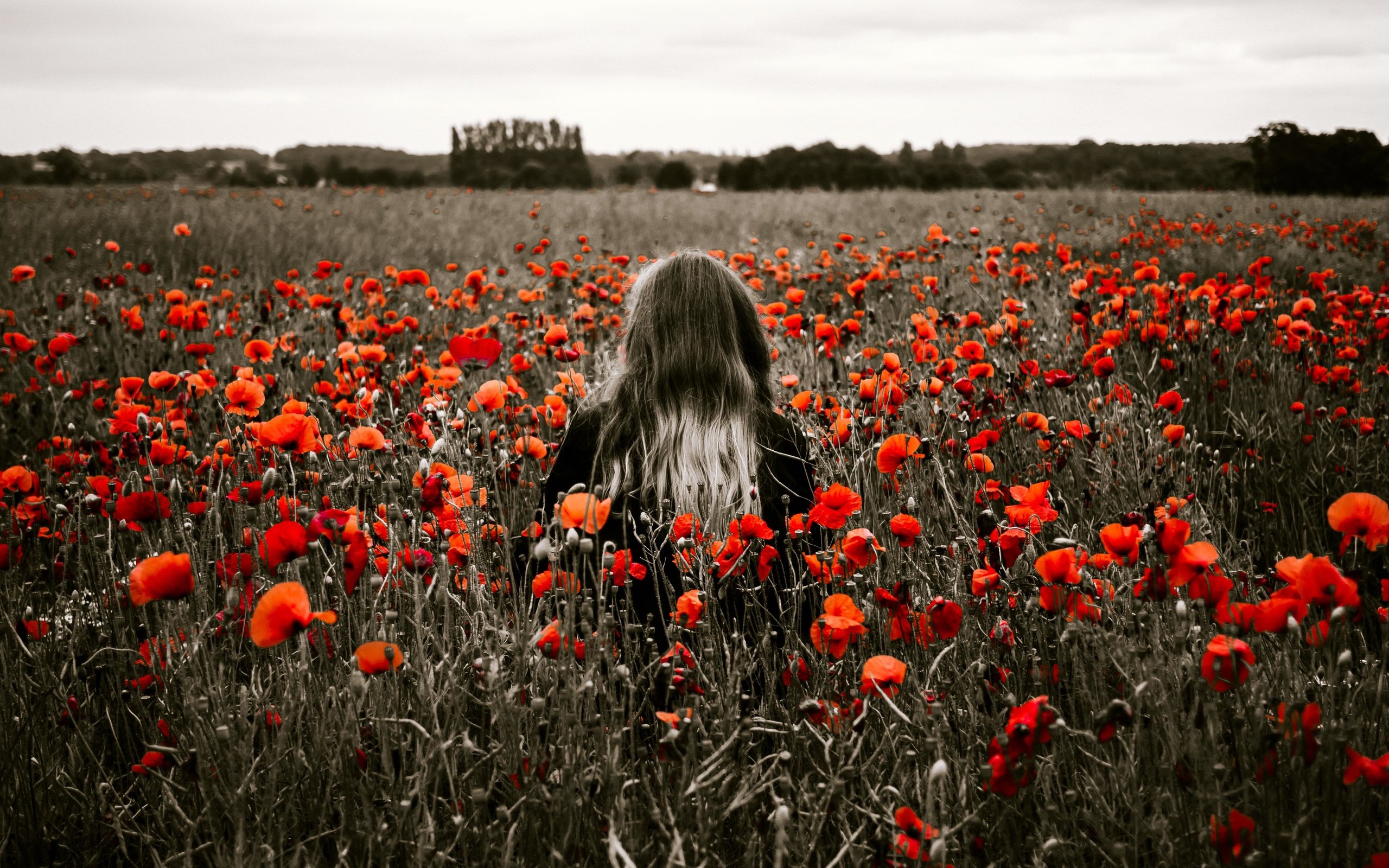 Обои цветы, девушка, поле, красные, маки, модель, спина, волосы, flowers, girl, field, red, maki, model, back, hair разрешение 4607x2661 Загрузить