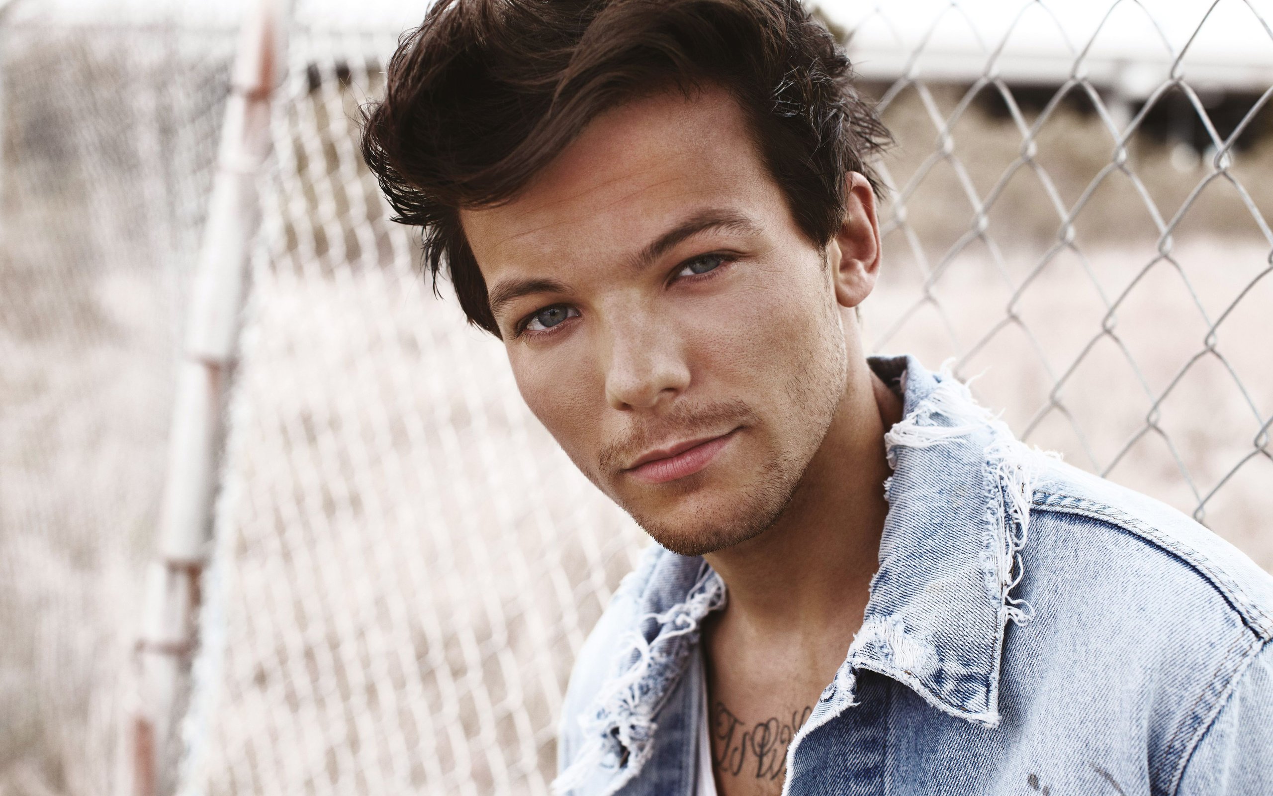 Обои портрет, взгляд, лицо, певец, рубашка, луи томлинсон, portrait, look, face, singer, shirt, louis tomlinson разрешение 3840x2400 Загрузить