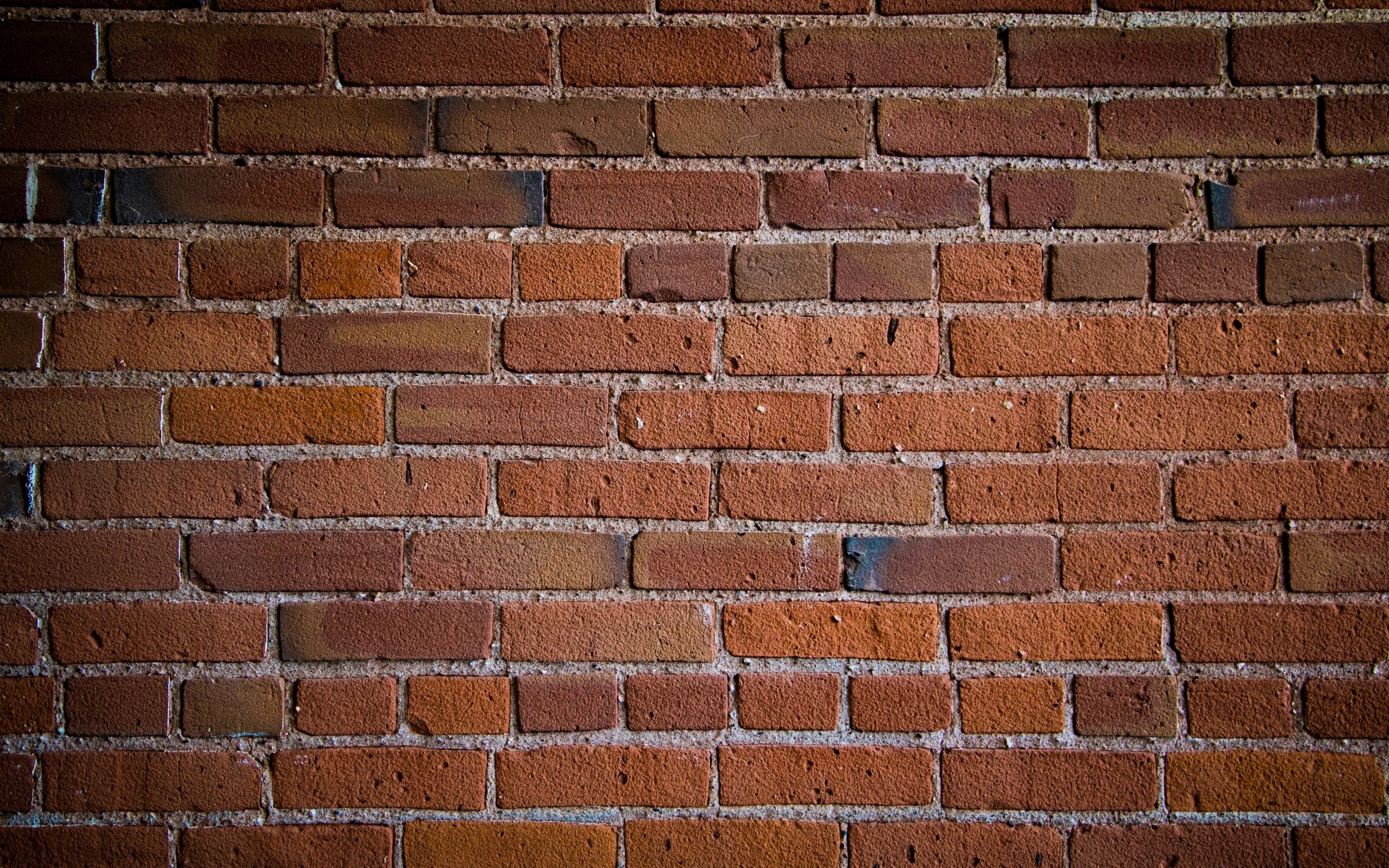 Обои текстура, стена, кирпичи, поверхность, кирпичная стена, texture, wall, bricks, surface, brick wall разрешение 2880x1920 Загрузить