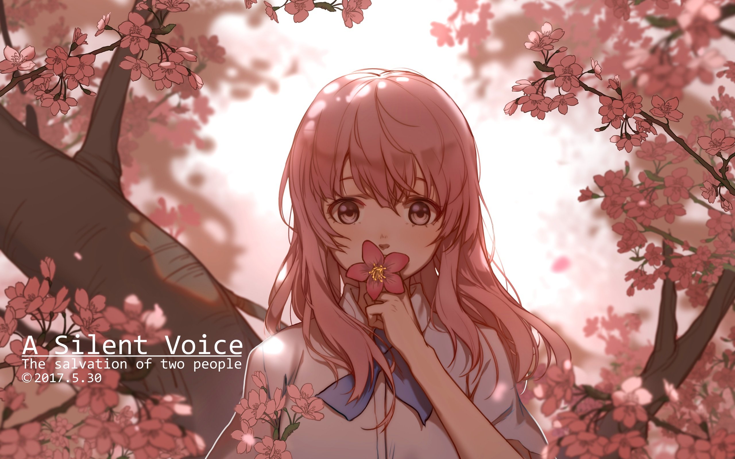 Обои девушка, взгляд, волосы, лицо, cherry blossom, розовые волосы, nishimiya shouko, koe no katachi, girl, look, hair, face, pink hair разрешение 4961x3508 Загрузить