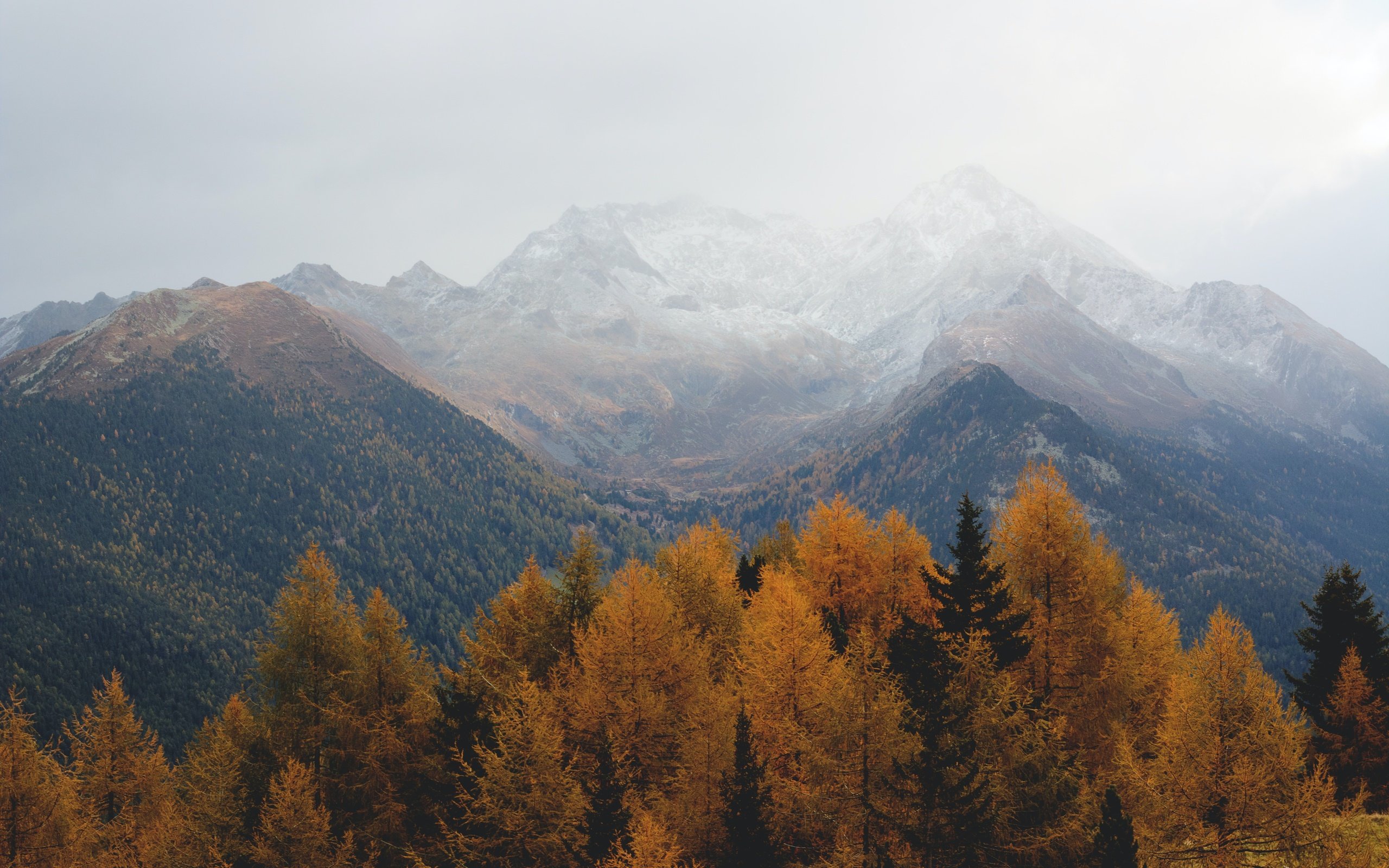 Обои небо, пасмурно, деревья, горы, скалы, природа, лес, осень, дымка, the sky, overcast, trees, mountains, rocks, nature, forest, autumn, haze разрешение 5496x3670 Загрузить