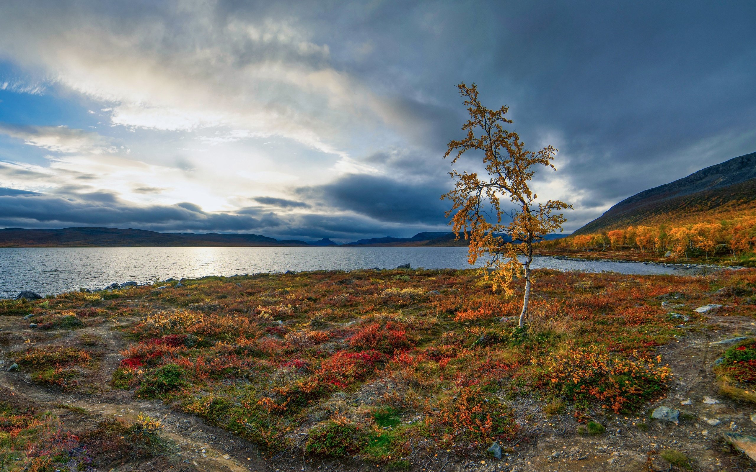 Обои озеро, осень, береза, деревце, финляндия, лапландия, lake, autumn, birch, tree, finland, lapland разрешение 3072x1728 Загрузить