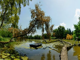 Обои деревья, озеро, лодка, trees, lake, boat разрешение 1920x1200 Загрузить