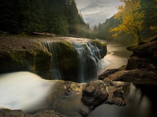 Обои деревья, река, камни, пейзаж, поток воды, trees, river, stones, landscape, the flow of water разрешение 1920x1200 Загрузить