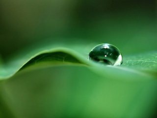 Обои зелёный, капля, лист, green, drop, sheet разрешение 2560x1600 Загрузить