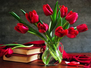 Обои цветы, ваза, бутоны, накидка, лепестки, книги, стол, лепесток, букет, тюльпаны, flowers, vase, buds, cape, petals, books, table, petal, bouquet, tulips разрешение 2560x1600 Загрузить