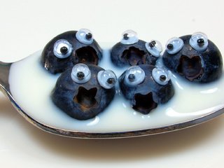 Обои глаза, ягоды, юмор, черника, молоко, сливки, ложка, eyes, berries, humor, blueberries, milk, cream, spoon разрешение 2048x1136 Загрузить