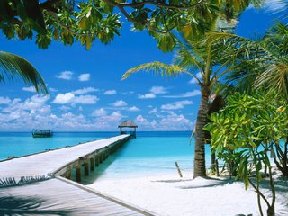 Обои песок, пляж, пальмы, тропики, мальдивы, sand, beach, palm trees, tropics, the maldives разрешение 1920x1080 Загрузить