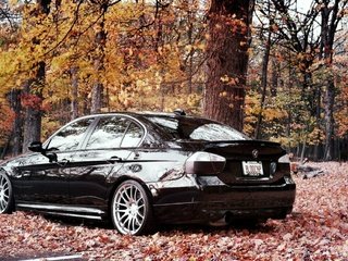 Обои деревья, лес, листва, осень, бмв, trees, forest, foliage, autumn, bmw разрешение 2000x1125 Загрузить