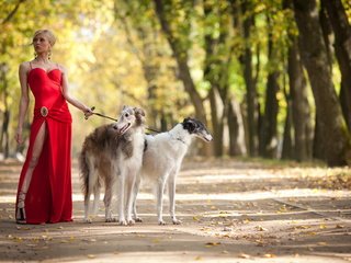 Обои русская борзая, девушка, парк, блондинка, красное платье, собаки, progulka, sobaka, борзая, русская псовая борзая, russian greyhound, girl, park, blonde, red dress, dogs, greyhound, russian borzoi разрешение 1920x1280 Загрузить