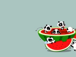 Обои арт, ситуация, панда, аниме, арбуз, м, art, the situation, panda, anime, watermelon, m разрешение 1920x1080 Загрузить