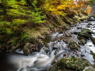 Обои река, природа, камни, поток, мох, river, nature, stones, stream, moss разрешение 1920x1200 Загрузить