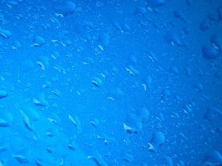 Обои вода, синий, капли, дождь, malcer, влажный, water, blue, drops, rain, wet разрешение 1960x1280 Загрузить