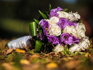 Обои розы, букет, свадьба, венчание, эустома, роз, букеты, roses, bouquet, wedding, eustoma, bouquets разрешение 2880x1920 Загрузить