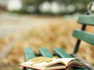 Обои осень, лист, скамейка, листик, книга, осен, книгa, autumn, sheet, bench, leaf, book разрешение 2560x1600 Загрузить