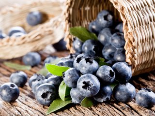 Обои ягоды, лесные ягоды, черника, корзинка, парное, черничный, berries, blueberries, basket, fresh, blueberry разрешение 2880x1920 Загрузить