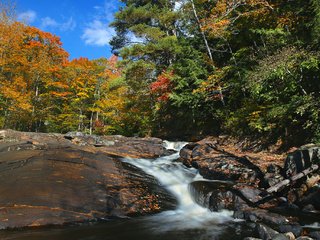 Обои деревья, река, скалы, лес, осень, поток, канада, онтарио, trees, river, rocks, forest, autumn, stream, canada, ontario разрешение 2048x1365 Загрузить