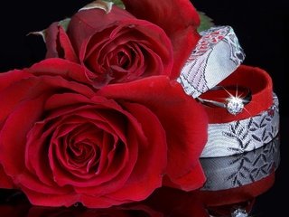 Обои розы, красный, кольцо, свадьба, коробка, roses, red, ring, wedding, box разрешение 2560x1600 Загрузить