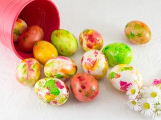 Обои цветы, ромашки, пасха, яйца крашеные, flowers, chamomile, easter, the painted eggs разрешение 6016x4000 Загрузить