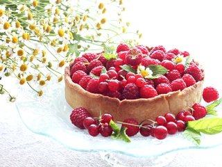 Обои цветы, малина, лето, ромашки, ягоды, пирог, ежевика, смородина, flowers, raspberry, summer, chamomile, berries, pie, blackberry, currants разрешение 2100x1345 Загрузить